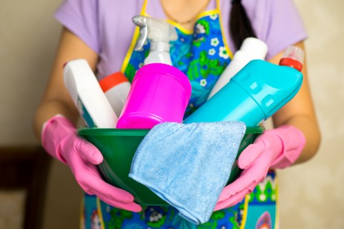 Illustration representing accessible cleaning services in Roehampton