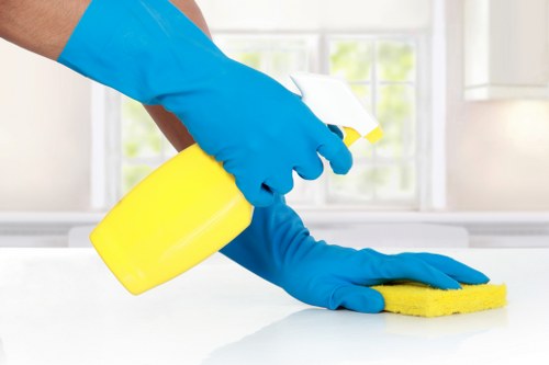 Roehampton Cleaner team preparing a safe and insured cleaning service