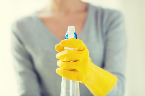 Regular domestic cleaning for a busy Roehampton household