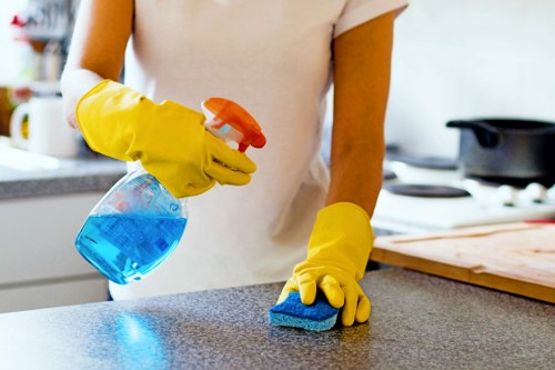 Professional end of tenancy cleaning for Roehampton rental properties