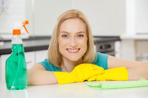 Roehampton cleaning service working on a spotless living space