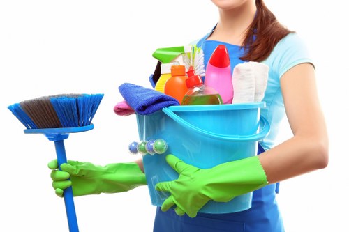 Domestic cleaning service for a Roehampton home interior