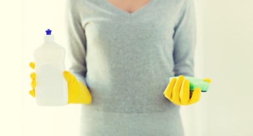 Professional pet stain odour removal in Roehampton for carpets and rugs