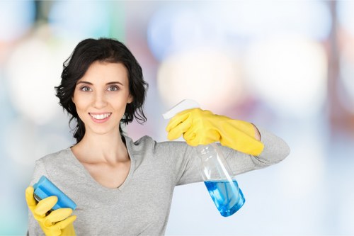 Local cleaner maintaining a flat in Roehampton