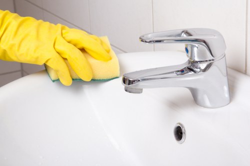 Deep mattress cleaning equipment used in a Roehampton property