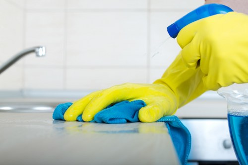 Streak-free windows after a Roehampton property clean