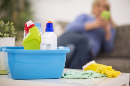 Weekly housekeeping and regular cleaning in Roehampton