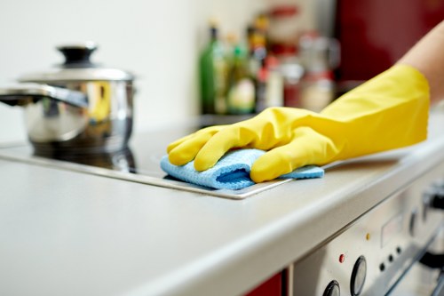 Local mattress cleaning for flats and apartments in Roehampton