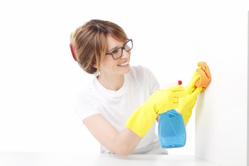 Local cleaners working in a Roehampton flat or apartment
