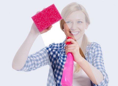 Professional window cleaning for a Roehampton flat or apartment block