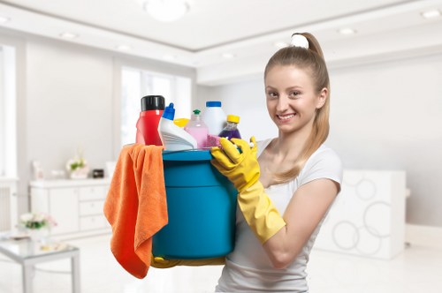Move in cleaning for apartments and houses in Roehampton with careful attention to detail