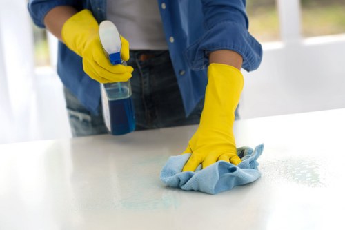 Specialist pet stain cleaning for a mattress in Roehampton