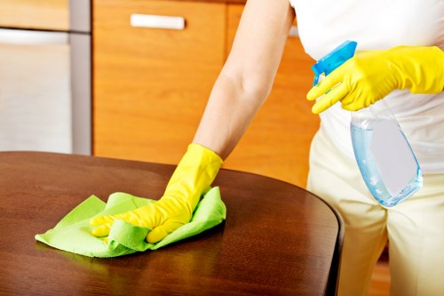 Regular home cleaning service for Roehampton residents